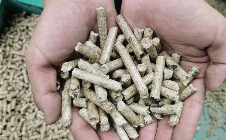 秸稈顆粒機械設備生產(chǎn)的生物質顆粒燃料
