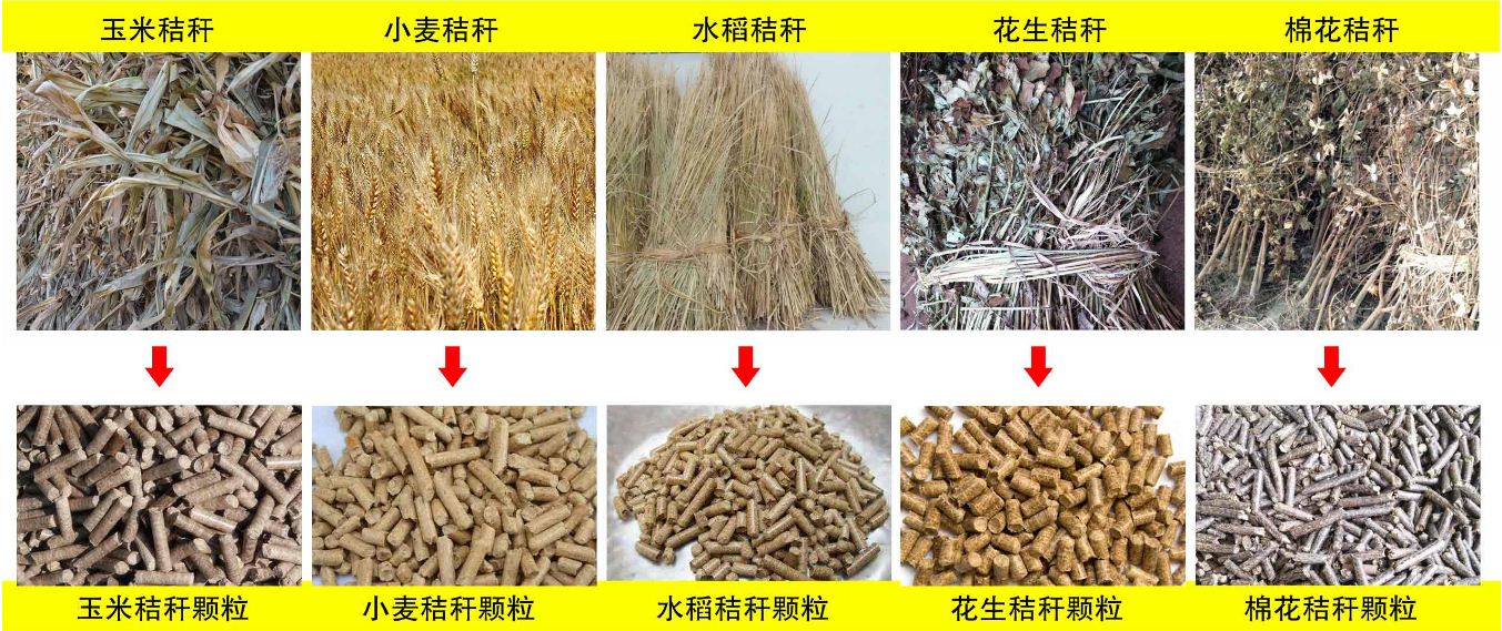 玉米秸稈、小麥秸稈等原材料